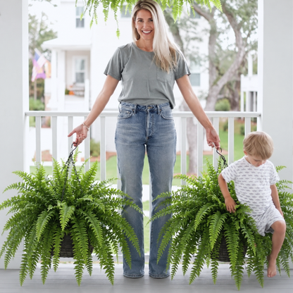 🔥49% Sale Only Today-Realistic Faux Greenery for Porch, Patio & Home – UV Resistant, Zero Maintenance